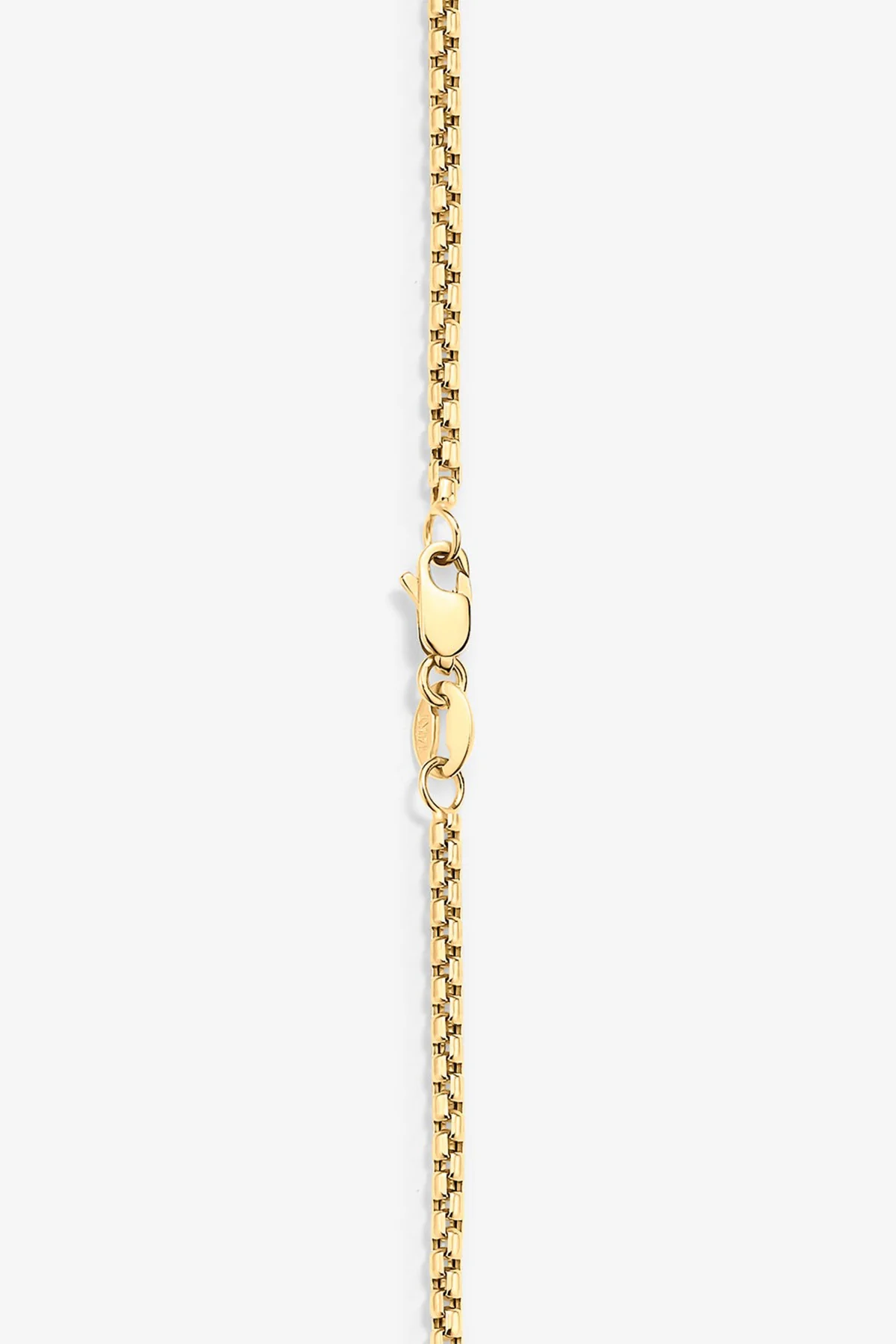 ALEX MOSS | YELLOW GOLD ROUND-BOX NECKLACE 20" - Image 2