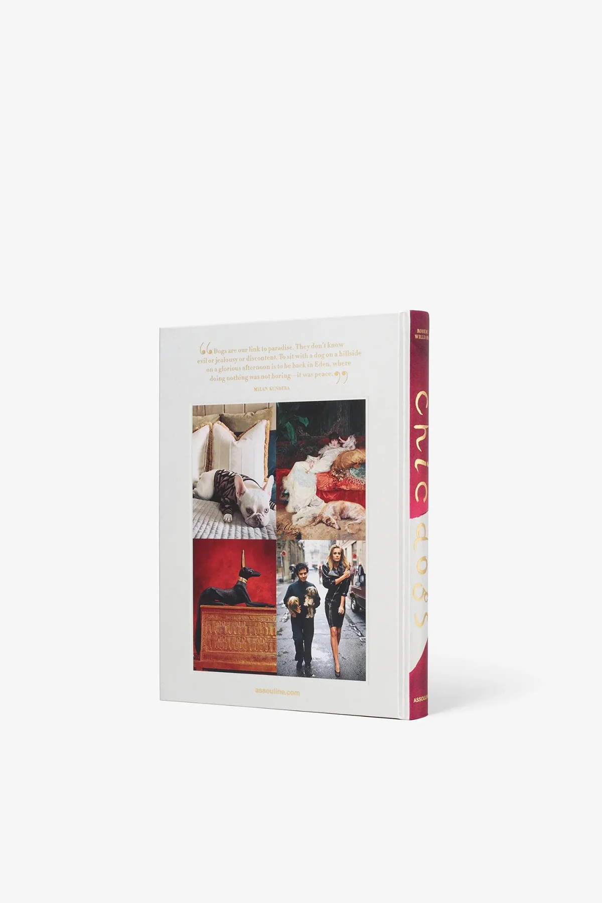 ASSOULINE | CHIC DOGS - Image 2