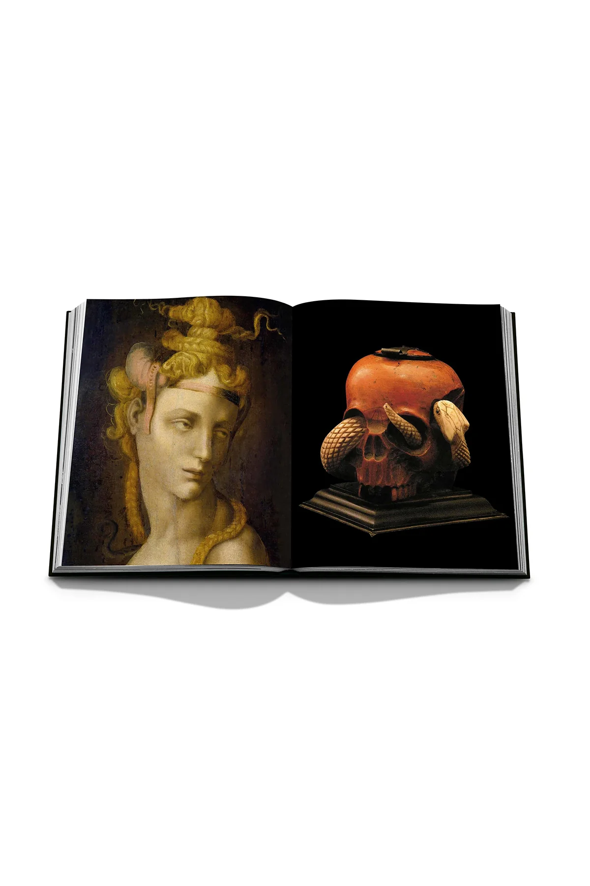 ASSOULINE | CODOGNATO MASTERPIECE - Image 5