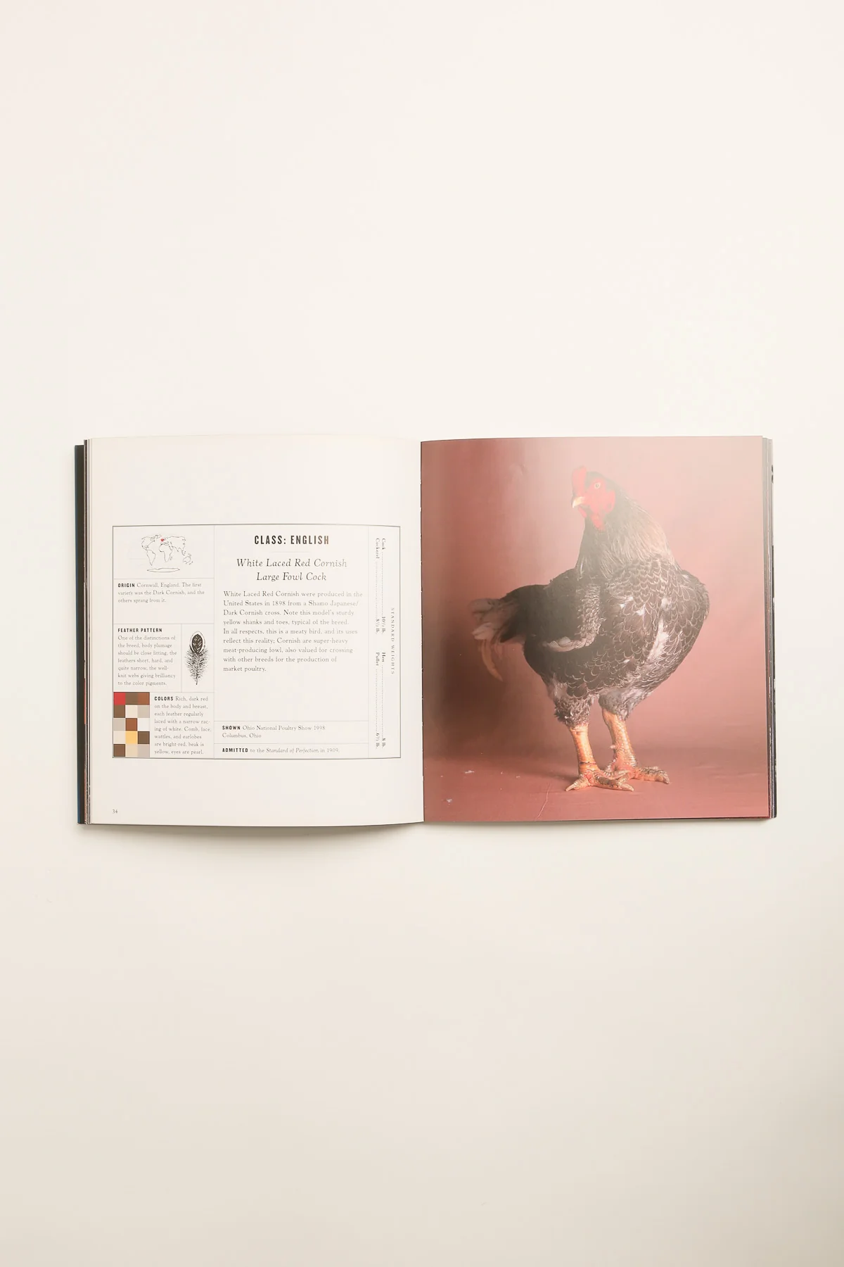 CHRONICLE | THE FAIREST FOWL: PORTRAITS OF CHAMPIONSHIP CHICKENS - Image 2