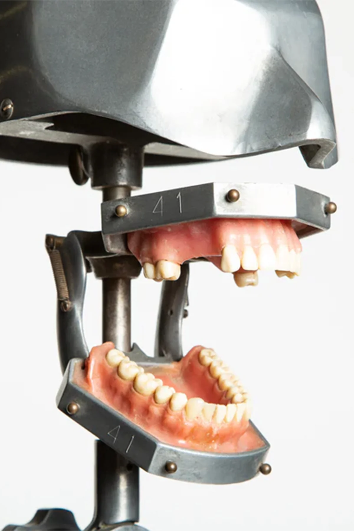 MAXFIELD PRIVATE COLLECTION | 1940'S DENTAL PHANTOM WITH STAND - Image 3