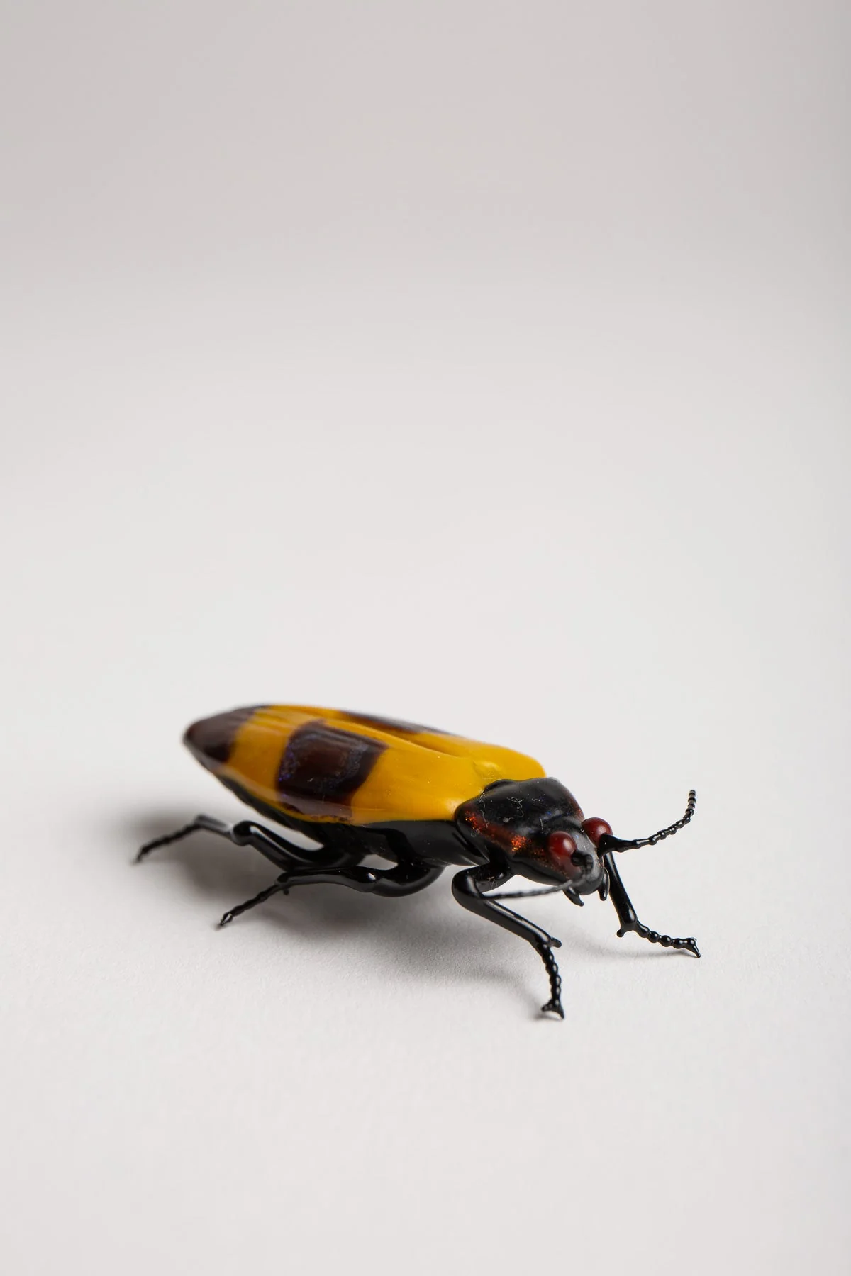 MAXFIELD PRIVATE COLLECTION | STRIPED BEETLE - Image 2