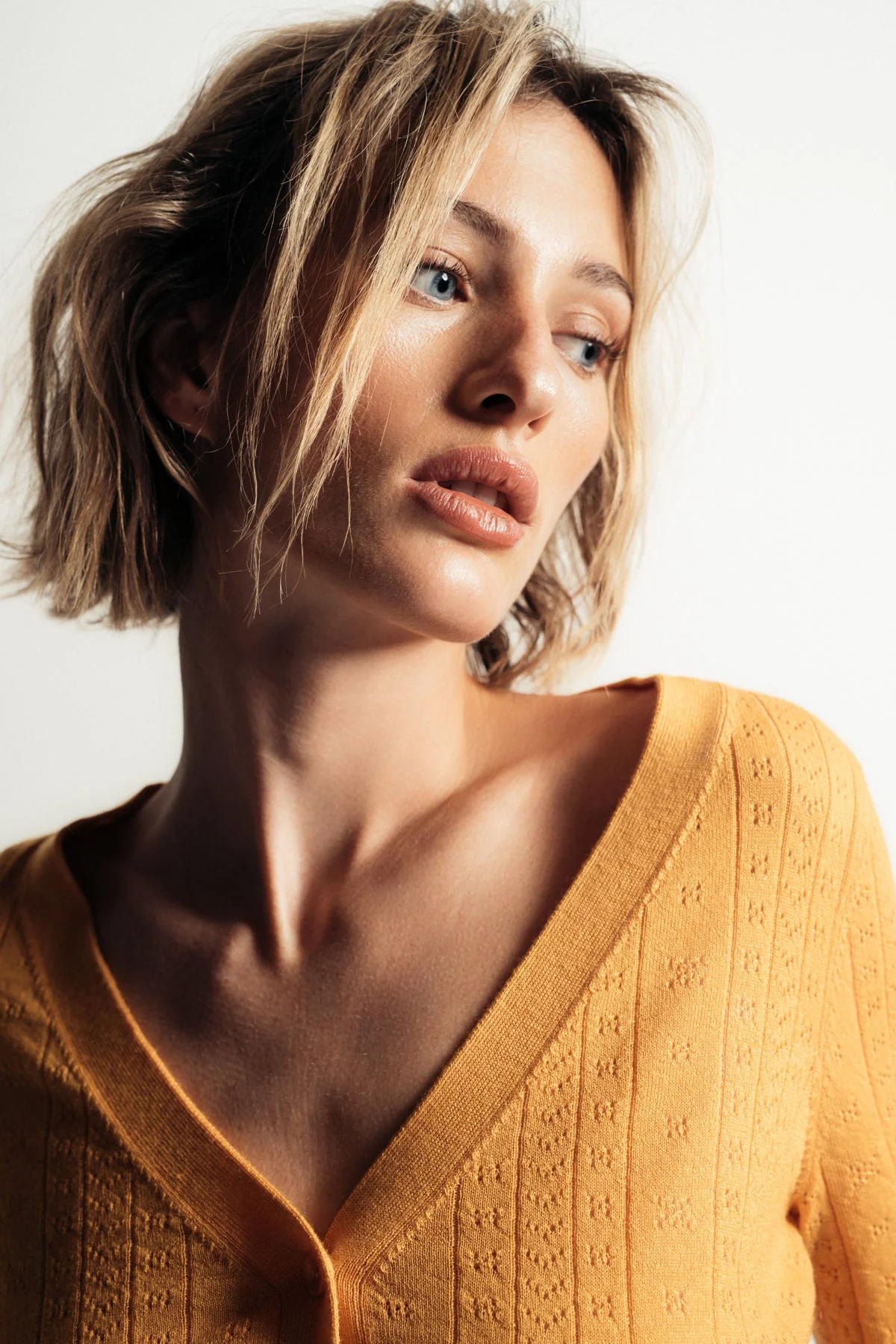 SABLYN | VINCENT POINTELLE KNIT CARDIGAN - Image 5