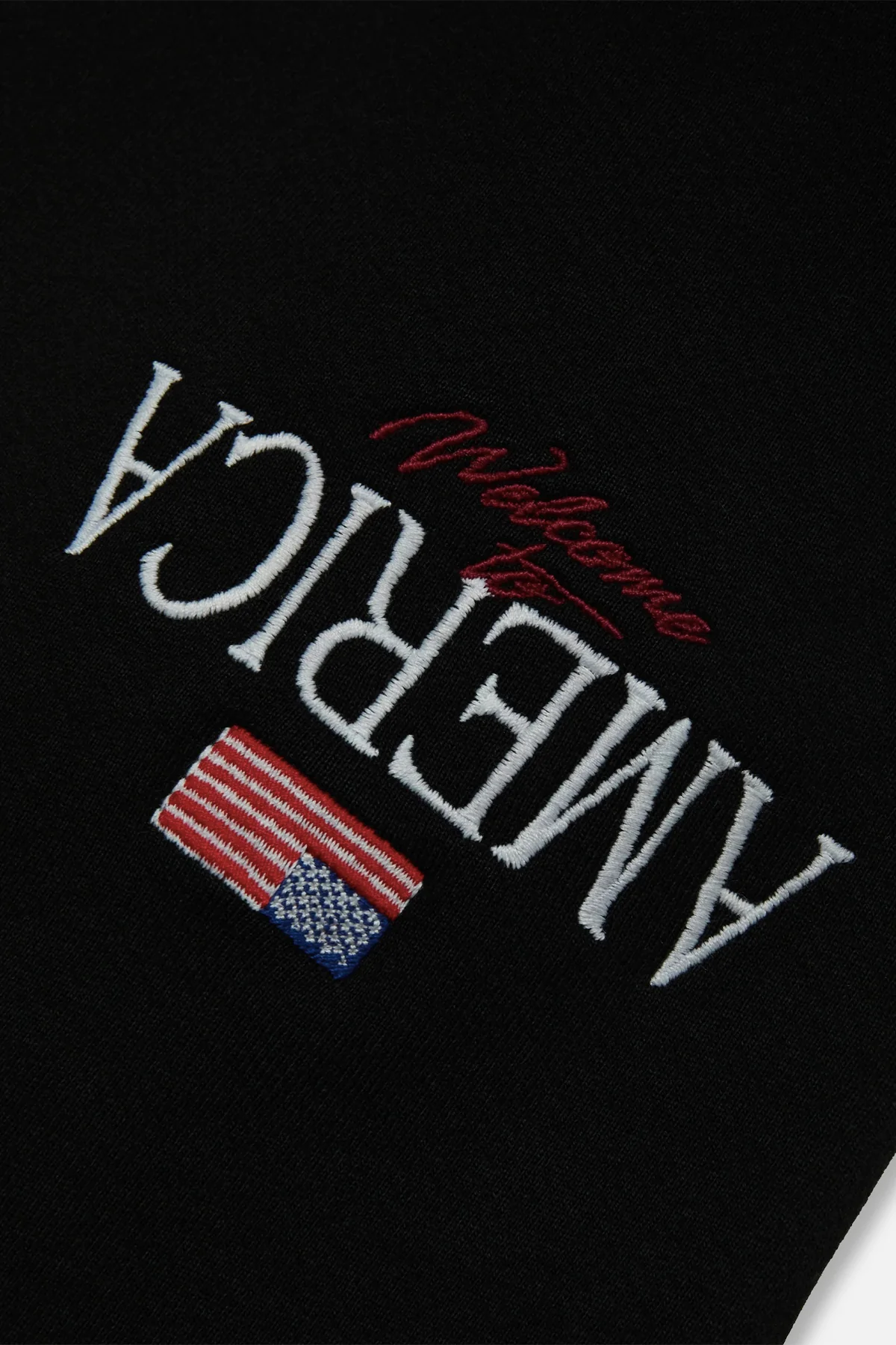 WILLY CHAVARRIA | WELCOME TO AMERICA BIG BOX BUFFALO TEE - Image 6